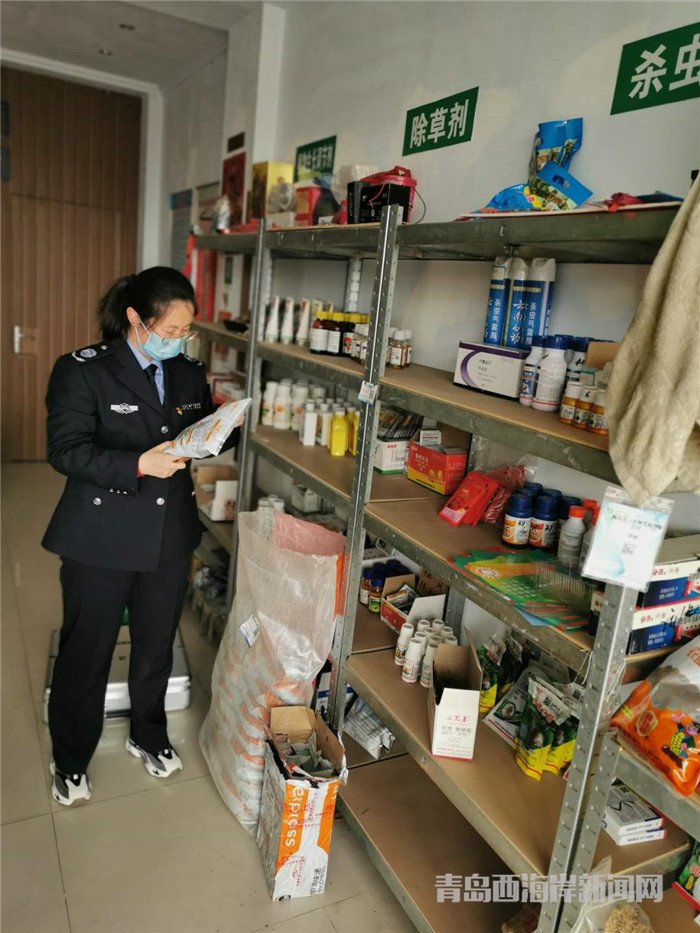 圖為西海岸新區(qū)農(nóng)業(yè)綜合行政執(zhí)法大隊(duì)執(zhí)法隊(duì)員在查看玉米種子包裝。.jpg